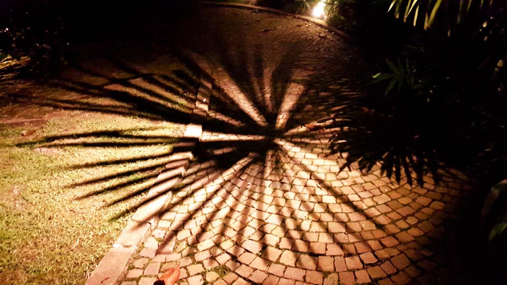 Garden Lighting | lighting design