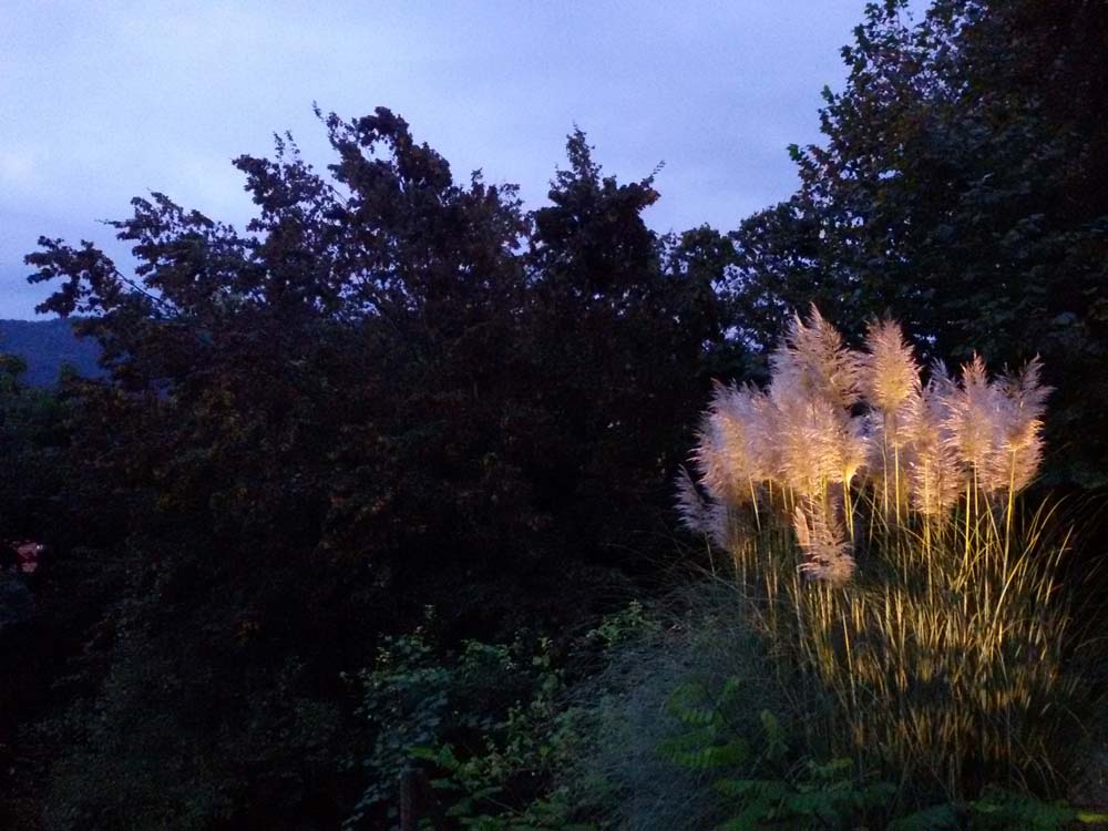 Garden Lighting | lighting design