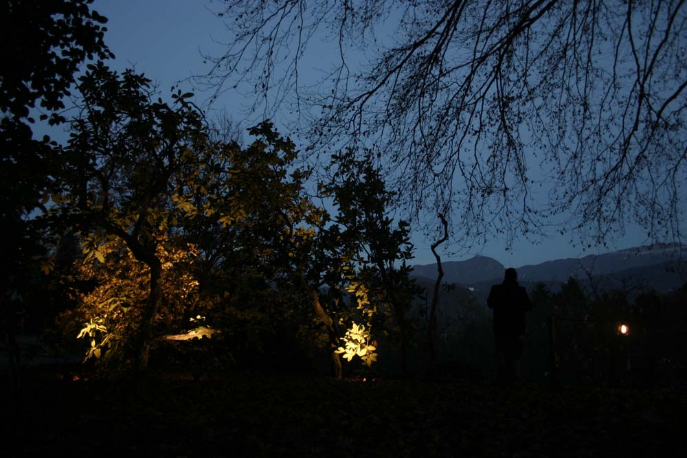 Garden Lighting | lighting design