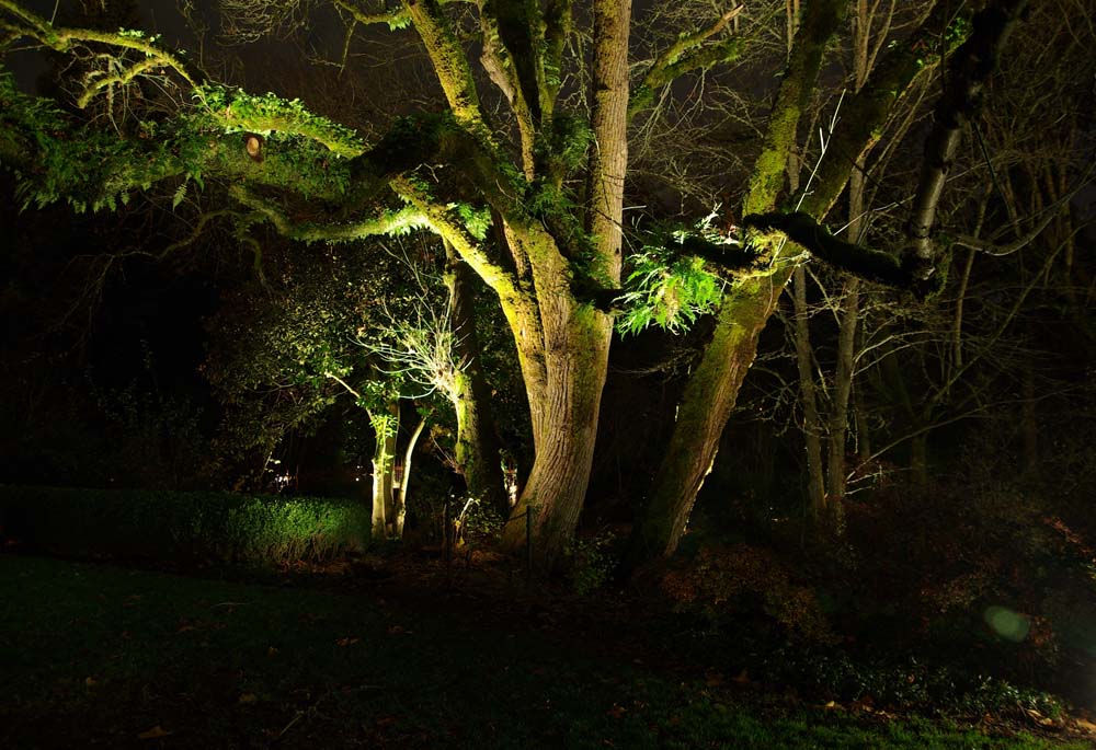 Garden Lighting | lighting design
