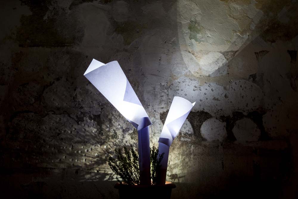 Garden Lighting | lighting design